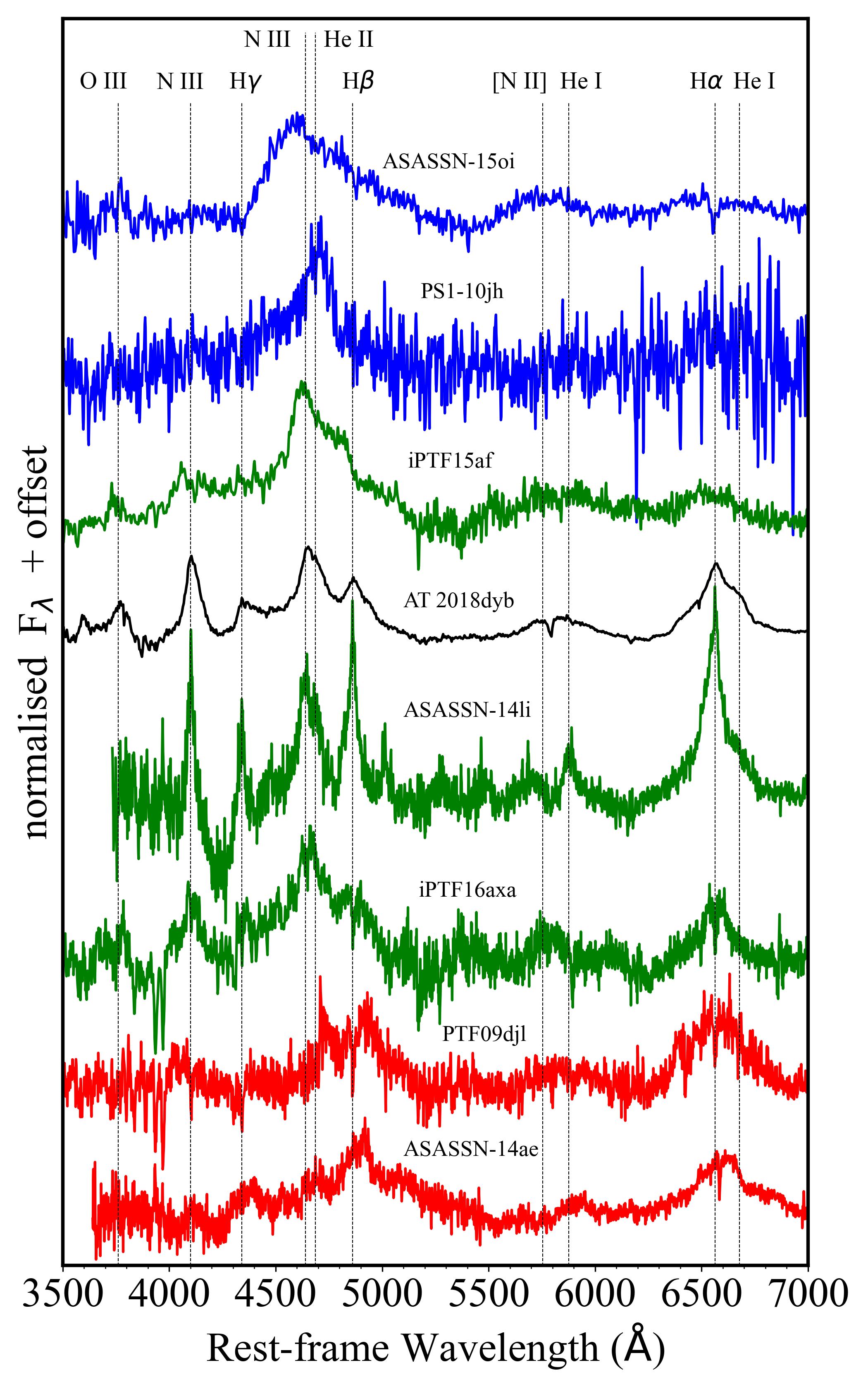Spectroscopy of TDEs and spectral classes