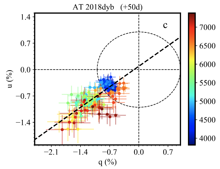 Spectroscopic classes and the TDE unification