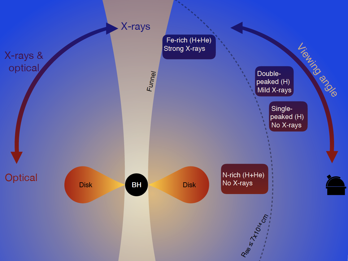 Spectroscopic classes and the TDE unification